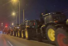 Στηρίζουμε τον αποκλεισμό του Λιμανιού Θεσσαλονίκης από τους αγρότες | 12/12